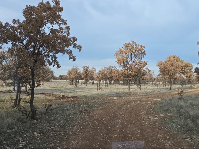 Denizli Bekilli Kutlubey'de 3.126 m2 Çok Uygun Yatırımlık Tarla. İlan açıklamasını okuyarak arayınız