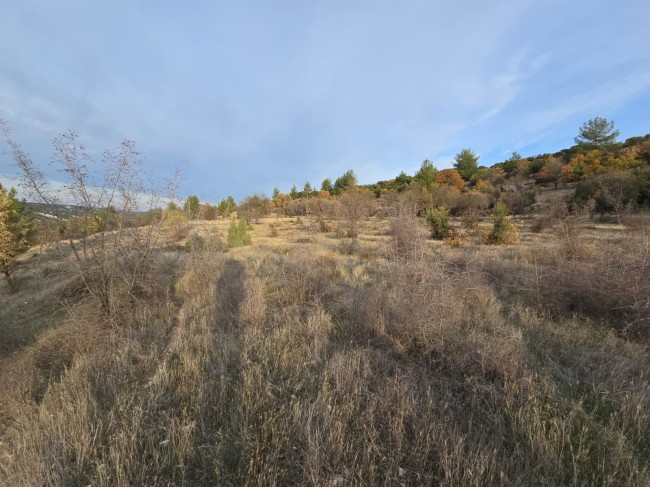 Denizli Bekilli Kutlubey'de 3.126 m2 Çok Uygun Yatırımlık Tarla. İlan açıklamasını okuyarak arayınız