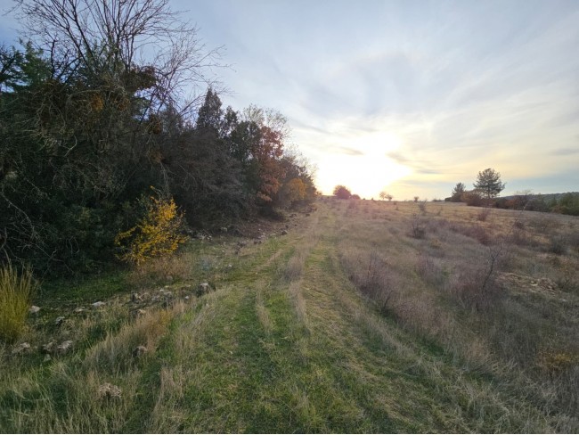 Denizli Bekilli Kutlubey'de 3.126 m2 Çok Uygun Yatırımlık Tarla. İlan açıklamasını okuyarak arayınız