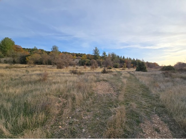 Denizli Bekilli Kutlubey'de 3.126 m2 Çok Uygun Yatırımlık Tarla. İlan açıklamasını okuyarak arayınız