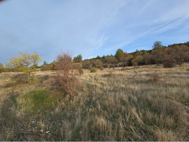 Denizli Bekilli Kutlubey'de 3.126 m2 Çok Uygun Yatırımlık Tarla. İlan açıklamasını okuyarak arayınız