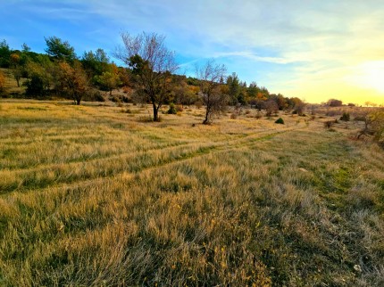 Denizli Bekilli Kutlubey'de 3.126 m2 Çok Uygun Yatırımlık Tarla. İlan açıklamasını okuyarak arayınız