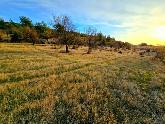 Denizli Bekilli Kutlubey'de 3.126 m2 Çok Uygun Yatırımlık Tarla. İlan açıklamasını okuyarak arayınız