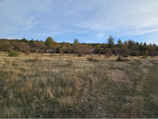 Denizli Bekilli Kutlubey'de 3.126 m2 Çok Uygun Yatırımlık Tarla. İlan açıklamasını okuyarak arayınız