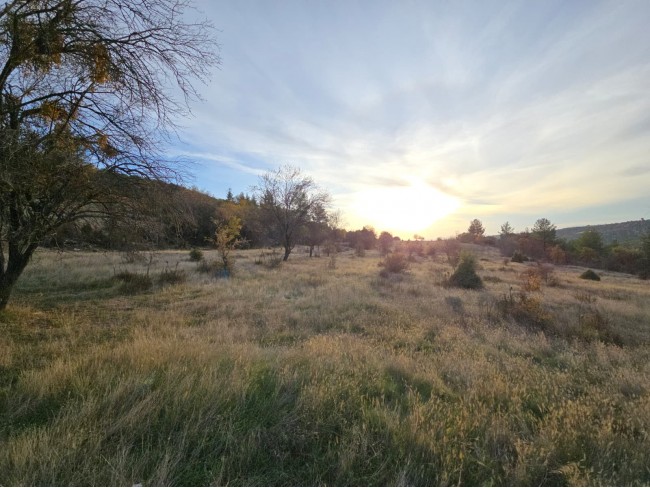 Denizli Bekilli Kutlubey'de 3.126 m2 Çok Uygun Yatırımlık Tarla. İlan açıklamasını okuyarak arayınız