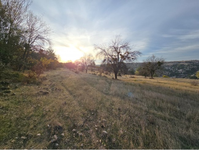 Denizli Bekilli Kutlubey'de 3.126 m2 Çok Uygun Yatırımlık Tarla. İlan açıklamasını okuyarak arayınız