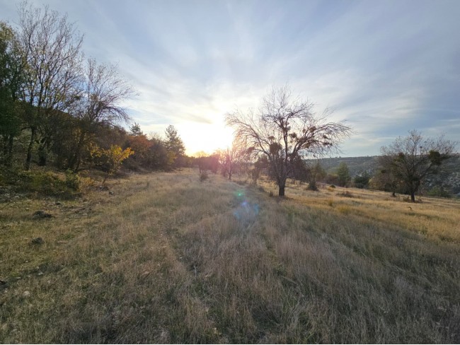 Denizli Bekilli Kutlubey'de 3.126 m2 Çok Uygun Yatırımlık Tarla. İlan açıklamasını okuyarak arayınız