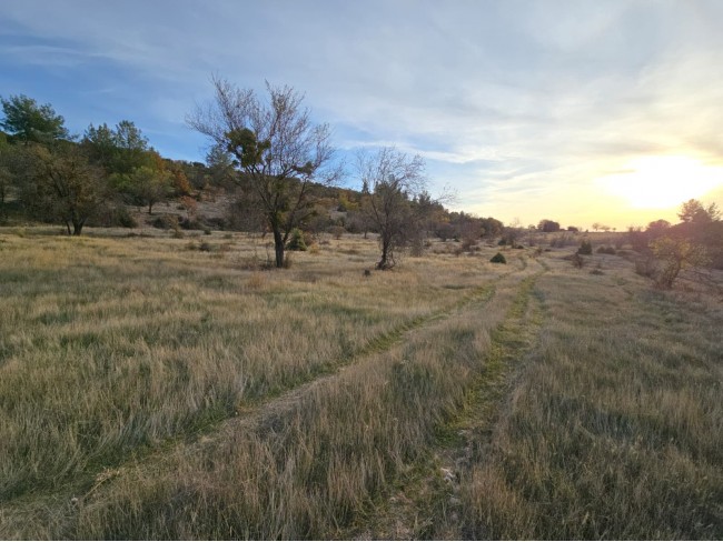 Denizli Bekilli Kutlubey'de 3.126 m2 Çok Uygun Yatırımlık Tarla. İlan açıklamasını okuyarak arayınız