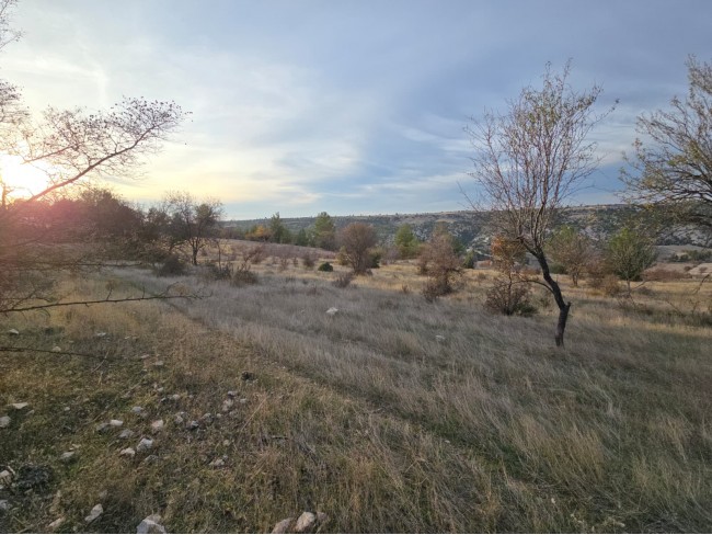 Denizli Bekilli Kutlubey'de 3.126 m2 Çok Uygun Yatırımlık Tarla. İlan açıklamasını okuyarak arayınız