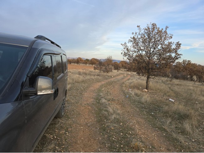 Denizli Bekilli Kutlubey'de 3.126 m2 Çok Uygun Yatırımlık Tarla. İlan açıklamasını okuyarak arayınız