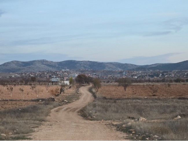 Denizli Bekilli Kutlubey'de 3.126 m2 Çok Uygun Yatırımlık Tarla. İlan açıklamasını okuyarak arayınız