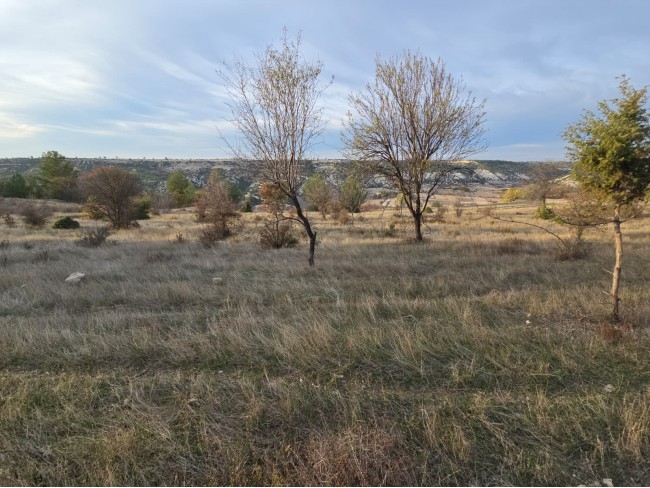 Denizli Bekilli Kutlubey'de 3.126 m2 Çok Uygun Yatırımlık Tarla. İlan açıklamasını okuyarak arayınız