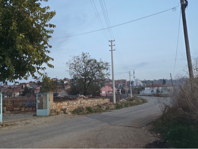 Denizli Bekilli Kutlubey'de 3.126 m2 Çok Uygun Yatırımlık Tarla. İlan açıklamasını okuyarak arayınız