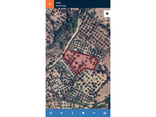 İzmir Bergama Çamtepe'de 3.711 m2 Kadastro Yollu Zeytinli Tarla. İlan Açıklamasını Okuyarak Arayınız