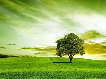 Uşak Banaz Düzkışla'da 3.749 m2 Uygun İki Adet Yatırımlık Tarla. İlan Açıklamasını Okuyarak Arayınız