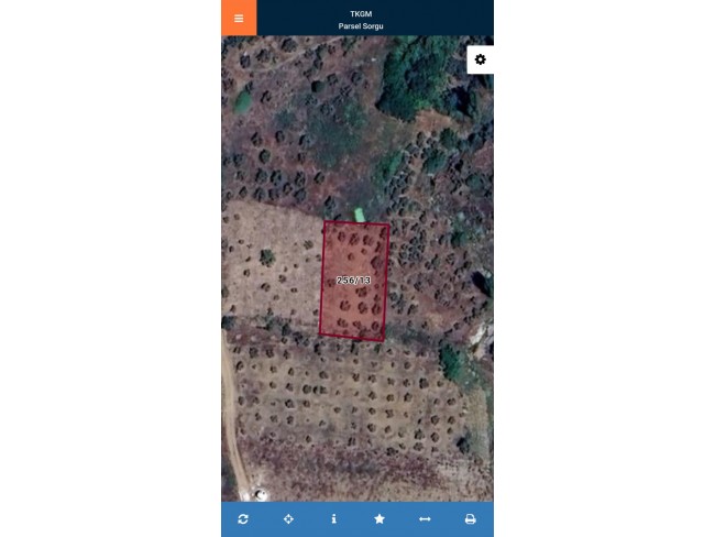 Manisa Demirci Kılavuzlar'da 756 m2 Bakımlı Uygun Zeytinlik. İlan Açıklamasını Okuyarak Arayınız.