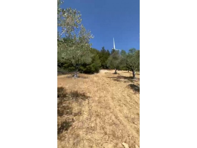 Manisa Kırkağaç Karakurt'da 3.740 m2 Bakımlı Güzel Zeytinlik. İlan Açıklamasını Okuyarak Arayınız.