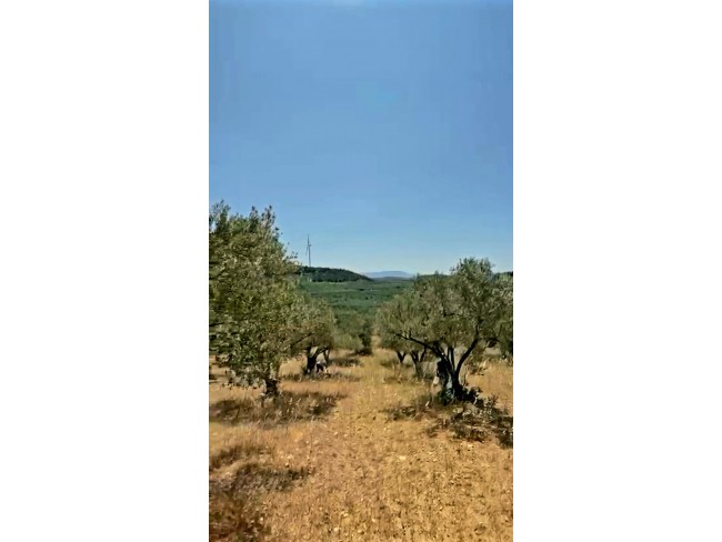 Manisa Kırkağaç Karakurt'da 3.740 m2 Bakımlı Güzel Zeytinlik. İlan Açıklamasını Okuyarak Arayınız. Manisa Kırkağaç Karakurt'da 3.740 m2 Bakımlı Güzel Zeytinlik. İlan Açıklamasını Okuyarak Arayınız.