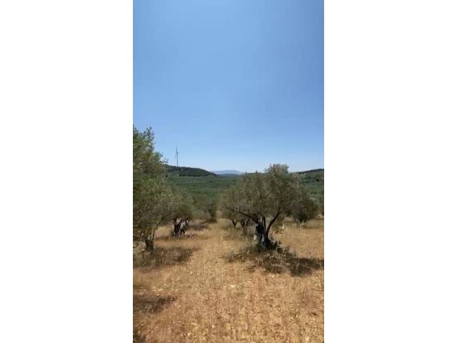 Manisa Kırkağaç Karakurt'da 3.740 m2 Bakımlı Güzel Zeytinlik. İlan Açıklamasını Okuyarak Arayınız.