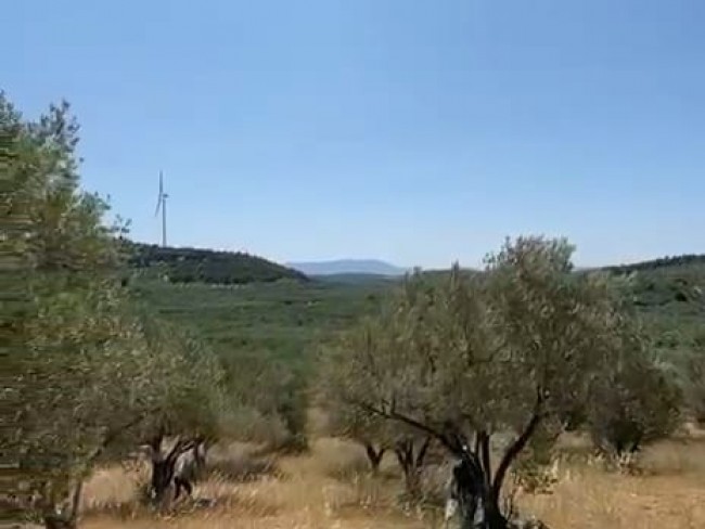 Manisa Kırkağaç Karakurt'da 3.740 m2 Bakımlı Güzel Zeytinlik. İlan Açıklamasını Okuyarak Arayınız.