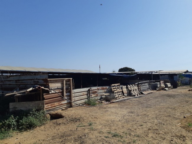 İzmir Bayındır Çırpı'da 12.847 m2 Çiftlik ve Ev. Yola Cepheli. İlan Açıklamasını Okuyarak Arayınız.