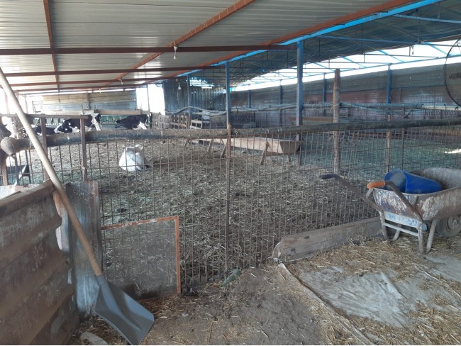 İzmir Bayındır Çırpı'da 12.847 m2 Çiftlik ve Ev. Yola Cepheli. İlan Açıklamasını Okuyarak Arayınız.