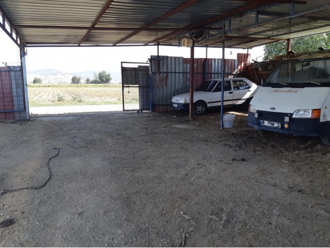 İzmir Bayındır Çırpı'da 12.847 m2 Çiftlik ve Ev. Yola Cepheli. İlan Açıklamasını Okuyarak Arayınız.