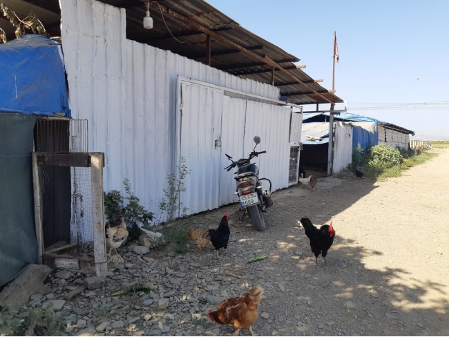 İzmir Bayındır Çırpı'da 12.847 m2 Çiftlik ve Ev. Yola Cepheli. İlan Açıklamasını Okuyarak Arayınız.