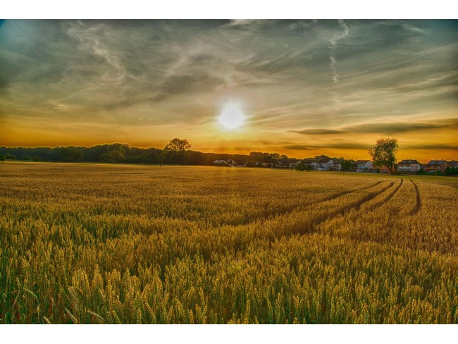 Uşak Ulubey Aksaz Köyünde 5.880 m Yatırımlık Tarla. İlan Açıklamasını Okuyarak Arayınız. Uşak Ulubey Aksaz Köyünde 5.880 m Yatırımlık Tarla. İlan Açıklamasını Okuyarak Arayınız.