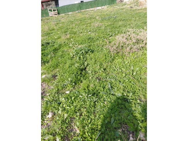 İzmir Buca Kırklar'da Yerleşim Yanı 289 m2 Tapulu Güzel Tarla. Açıklamayı Okuyarak Arayınız.