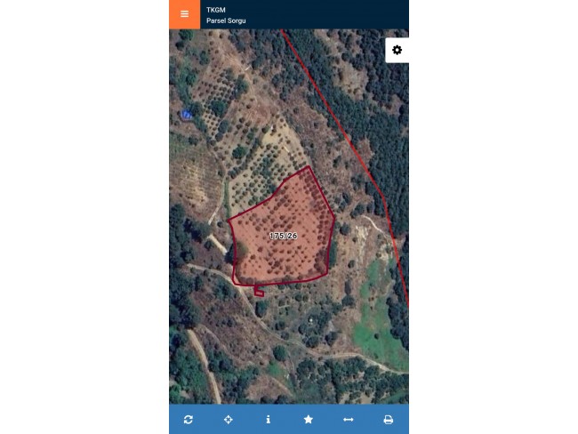 İzmir Bayındır Çınardibi'nde 4.894 m2 Kiraz Bahçesi Çok Uygun. İlan Açıklamasını Okuyarak Arayınız.