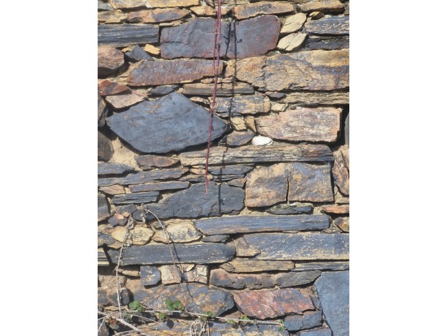 İzmir Bayındır Çınardibi'nde 4.894 m2 Kiraz Bahçesi Çok Uygun. İlan Açıklamasını Okuyarak Arayınız.