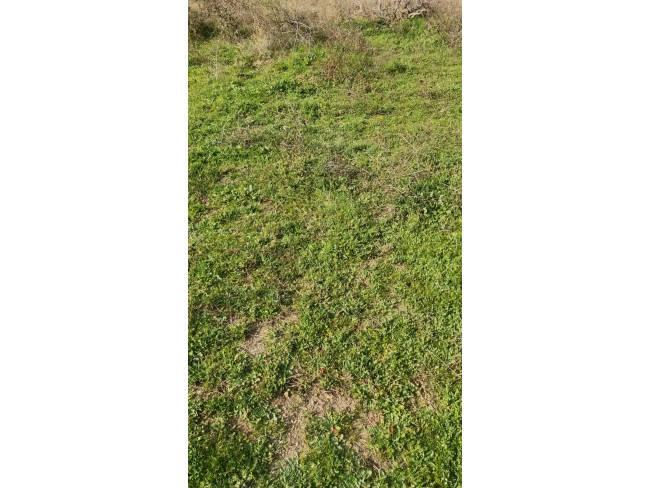 İzmir Bayındır Çınardibi'nde 4.894 m2 Kiraz Bahçesi Çok Uygun. İlan Açıklamasını Okuyarak Arayınız. İzmir Bayındır Çınardibi'nde 4.894 m2 Kiraz Bahçesi Çok Uygun. İlan Açıklamasını Okuyarak Arayınız.