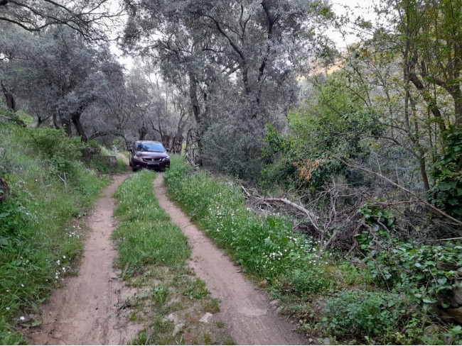 İzmir Bayındır Kızıloba'da 2.096 m2 Akarsuyu olan Zeytinlik Mandalina Bahçesi. Açıklamayı Okuyunuz. İzmir Bayındır Kızıloba'da 2.096 m2 Akarsuyu olan Zeytinlik Mandalina Bahçesi. Açıklamayı Okuyunuz.