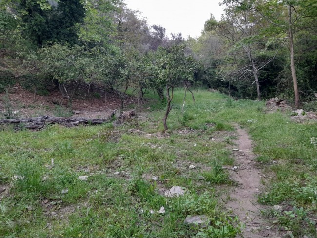 İzmir Bayındır Kızıloba'da 2.096 m2 Akarsuyu olan Zeytinlik Mandalina Bahçesi. Açıklamayı Okuyunuz.