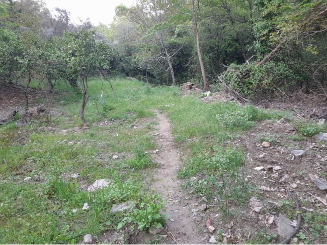 İzmir Bayındır Kızıloba'da 2.096 m2 Akarsuyu olan Zeytinlik Mandalina Bahçesi. Açıklamayı Okuyunuz.