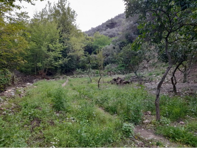 İzmir Bayındır Kızıloba'da 2.096 m2 Akarsuyu olan Zeytinlik Mandalina Bahçesi. Açıklamayı Okuyunuz. İzmir Bayındır Kızıloba'da 2.096 m2 Akarsuyu olan Zeytinlik Mandalina Bahçesi. Açıklamayı Okuyunuz.