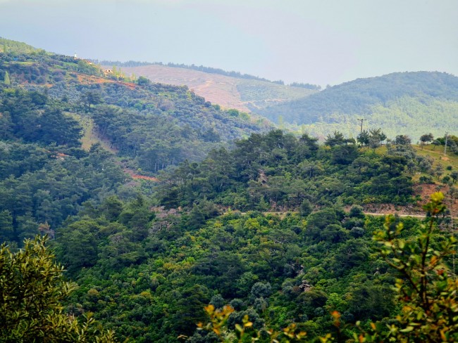 İzmir Bayındır Kızıloba'da 99 m2 Akarsuya Köye Yakın Uygun Zeytinlik. Yolu Var. Açıklamayı Okuyunuz. İzmir Bayındır Kızıloba'da 99 m2 Akarsuya Köye Yakın Uygun Zeytinlik. Yolu Var. Açıklamayı Okuyunuz.