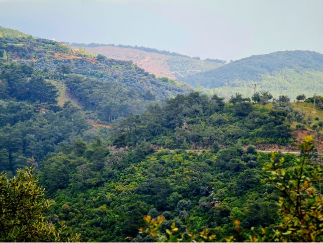İzmir Bayındır Kızıloba'da 99 m2 Akarsuya Köye Yakın Uygun Zeytinlik. Yolu Var. Açıklamayı Okuyunuz. İzmir Bayındır Kızıloba'da 99 m2 Akarsuya Köye Yakın Uygun Zeytinlik. Yolu Var. Açıklamayı Okuyunuz.