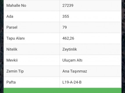 İzmir Bayındır Sarıyurt'da Akarsu Dibinde 462 m2 Uygun Zeytinlik. Açıklamayı Okuyunuz.