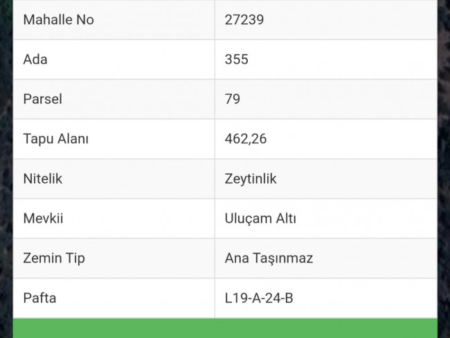 İzmir Bayındır Sarıyurt'da Akarsu Dibinde 462 m2 Uygun Zeytinlik. Açıklamayı Okuyunuz. İzmir Bayındır Sarıyurt'da Akarsu Dibinde 462 m2 Uygun Zeytinlik. Açıklamayı Okuyunuz.
