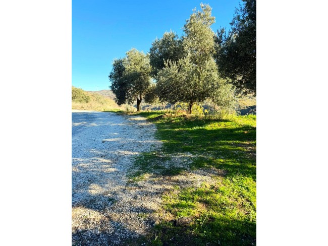 İzmir Tire Büyükkemerdere'de 364 m2 Asfalt Yola Cepheli Yatırımlık Tarla. Açıklamayı Okuyunuz. İzmir Tire Büyükkemerdere'de 364 m2 Asfalt Yola Cepheli Yatırımlık Tarla. Açıklamayı Okuyunuz.