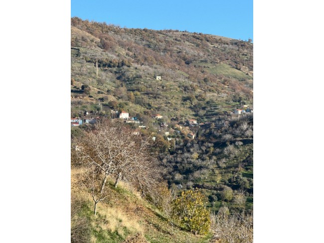 İzmir Tire Büyükkemerdere'de 364 m2 Asfalt Yola Cepheli Yatırımlık Tarla. Açıklamayı Okuyunuz.