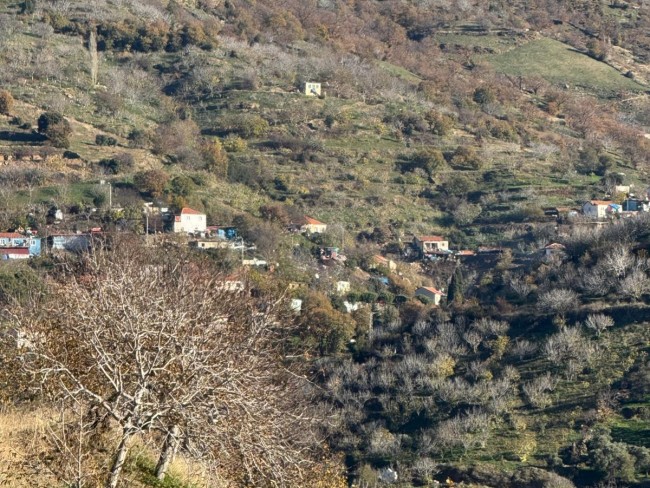 İzmir Tire Büyükkemerdere'de 364 m2 Asfalt Yola Cepheli Yatırımlık Tarla. Açıklamayı Okuyunuz.
