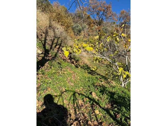 İzmir Tire Büyükkemerdere'de 364 m2 Asfalt Yola Cepheli Yatırımlık Tarla. Açıklamayı Okuyunuz.