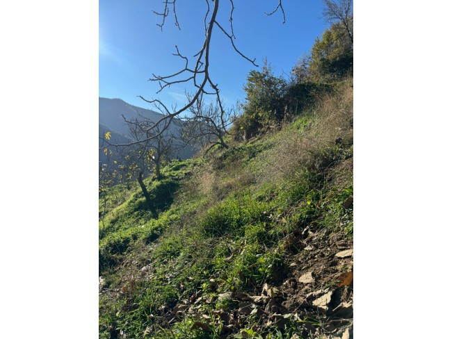 İzmir Tire Büyükkemerdere'de 364 m2 Asfalt Yola Cepheli Yatırımlık Tarla. Açıklamayı Okuyunuz.