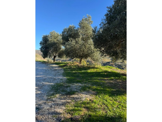 İzmir Tire Büyükkemerdere'de 364 m2 Asfalt Yola Cepheli Yatırımlık Tarla. Açıklamayı Okuyunuz. İzmir Tire Büyükkemerdere'de 364 m2 Asfalt Yola Cepheli Yatırımlık Tarla. Açıklamayı Okuyunuz.