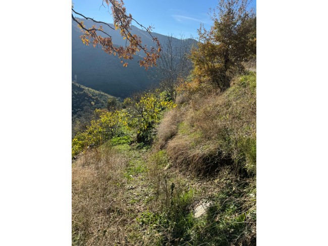 İzmir Tire Büyükkemerdere'de 364 m2 Asfalt Yola Cepheli Yatırımlık Tarla. Açıklamayı Okuyunuz.