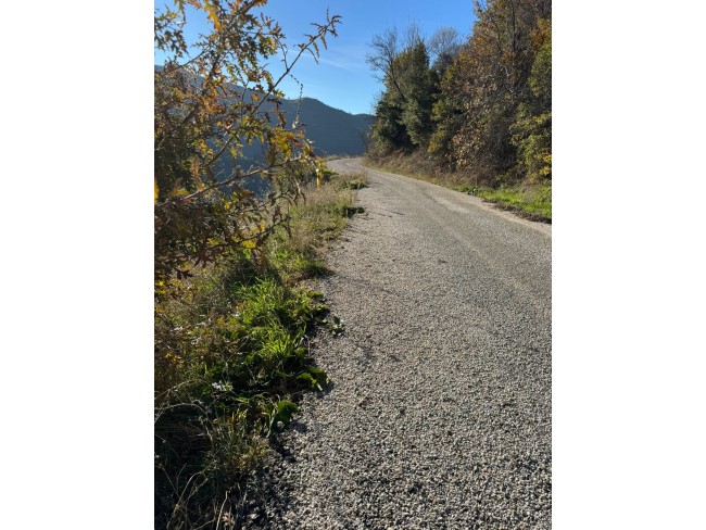 İzmir Tire Büyükkemerdere'de 364 m2 Asfalt Yola Cepheli Yatırımlık Tarla. Açıklamayı Okuyunuz.