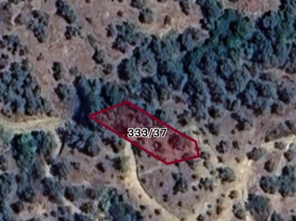 İzmir Bayındır Kızılkeçili'de 2 Adet Toplam 432 m2 Zeytinlik. Yolu Var. Açıklamayı Okuyunuz Lütfen. İzmir Bayındır Kızılkeçili'de 2 Adet Toplam 432 m2 Zeytinlik. Yolu Var. Açıklamayı Okuyunuz Lütfen.